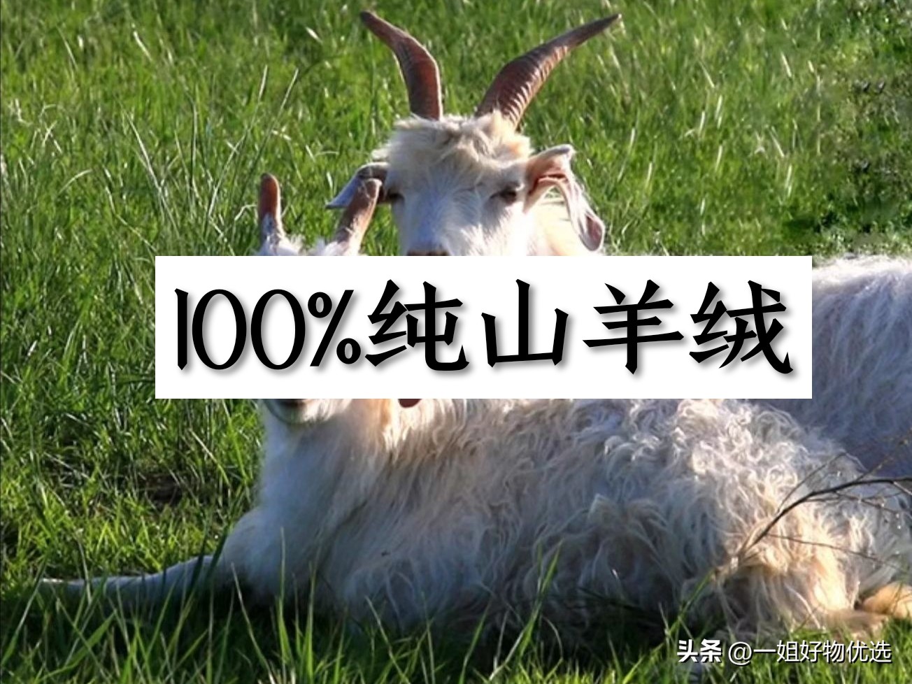 羊绒围巾排行第一,羊绒围巾十大品牌2022