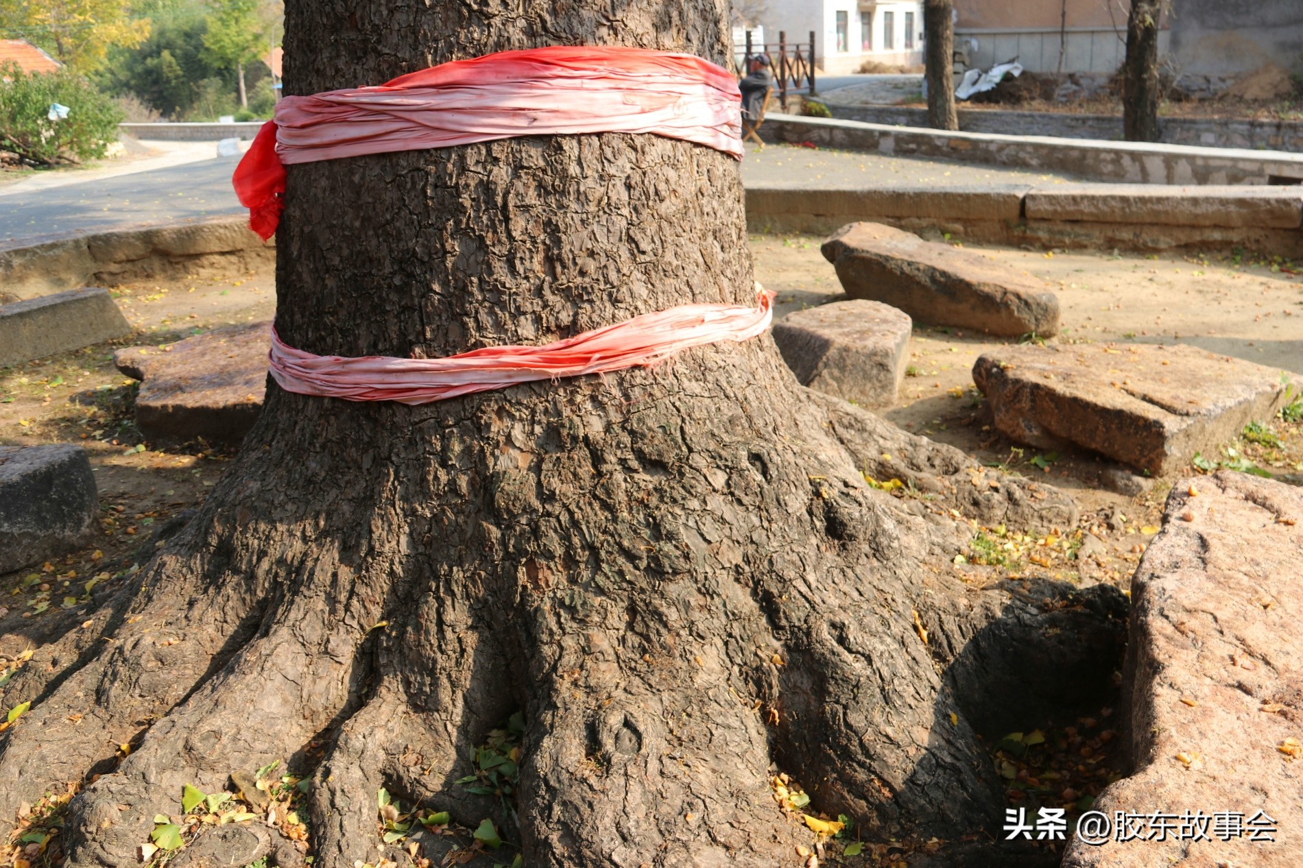 胶东航拍视频,胶东乡村航拍