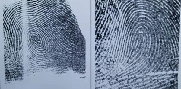 4个簸箕6个螺代表什么,几个螺和几个簸箕最好