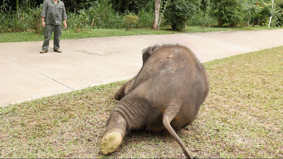 cop15第二次会议,cop15云南会场