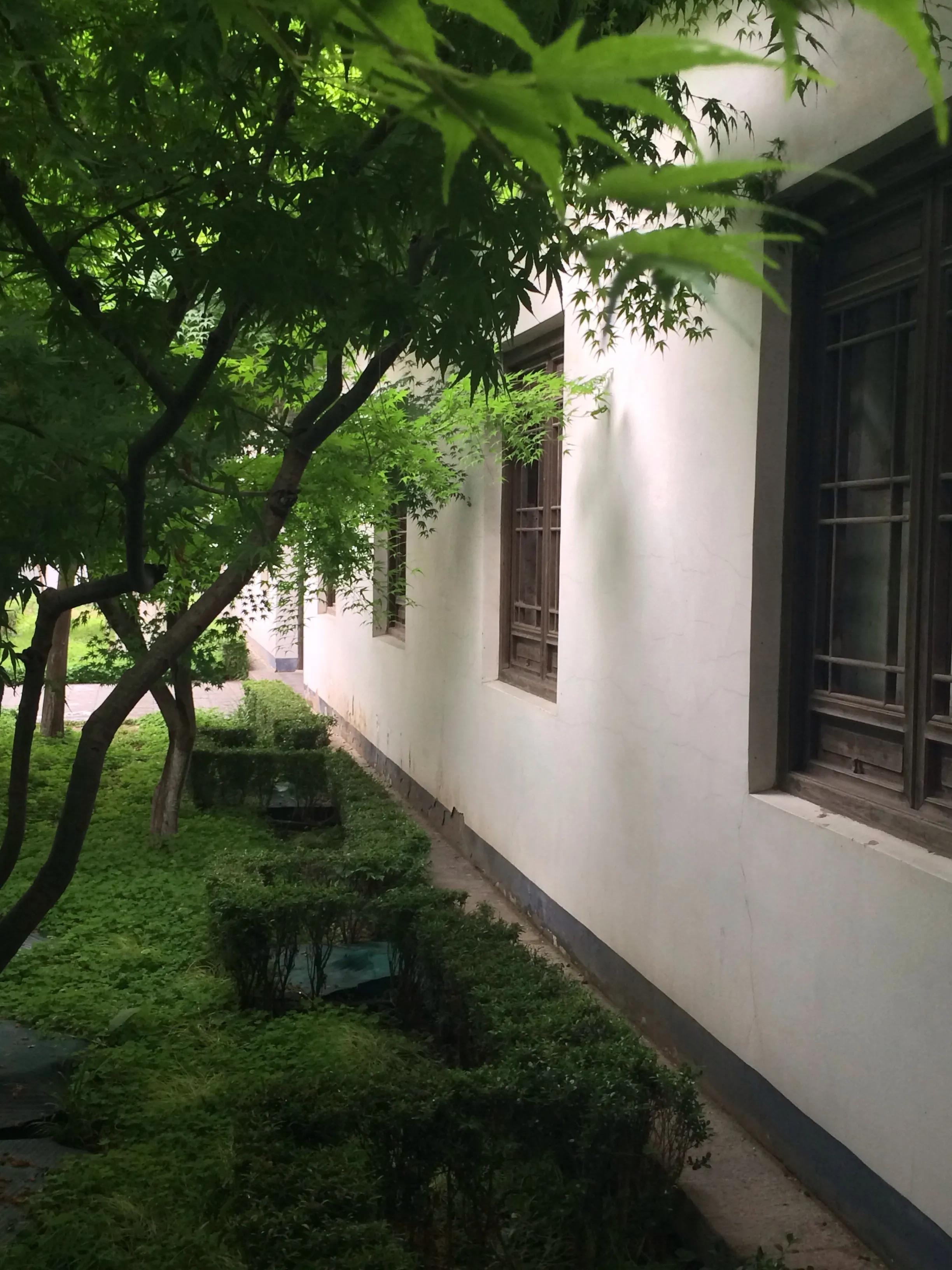 南京情侣美食打卡景点,南京打卡景点推荐