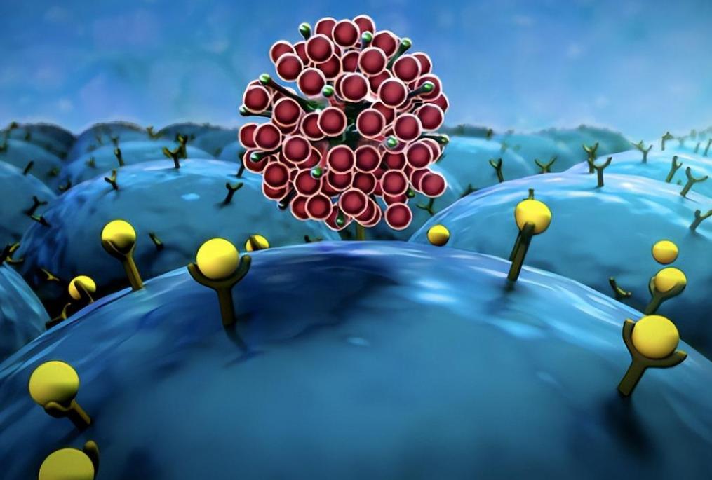 致死率100%！朊病毒烹煮杀不死，无药可救，感染后究竟有多恐怖？