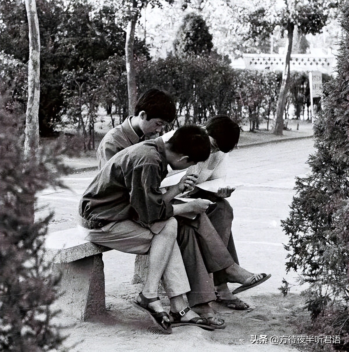 1980年代郑州老照片,八十年代郑州老视频