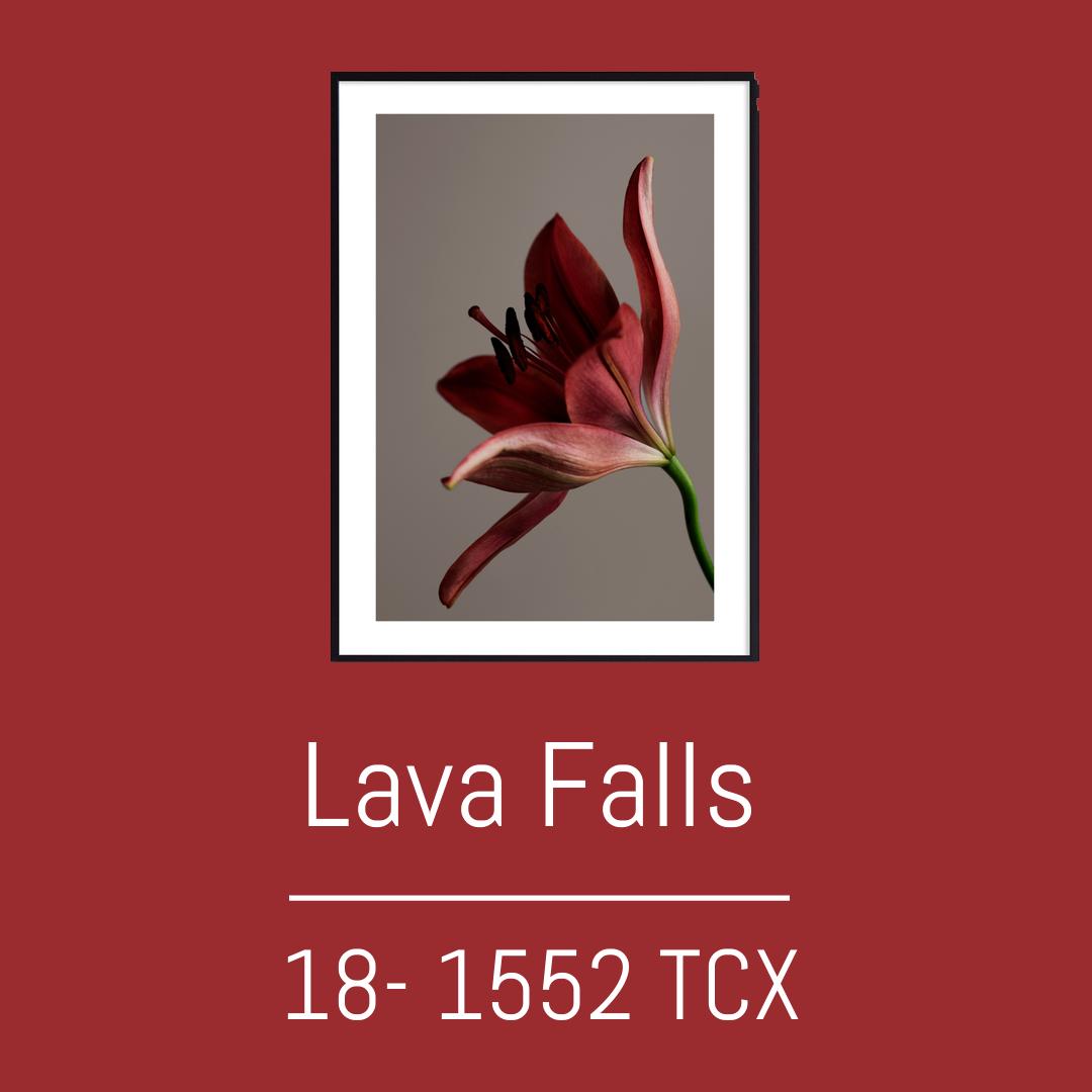 2024pantone年度流行色,pantone最新流行色紫外光