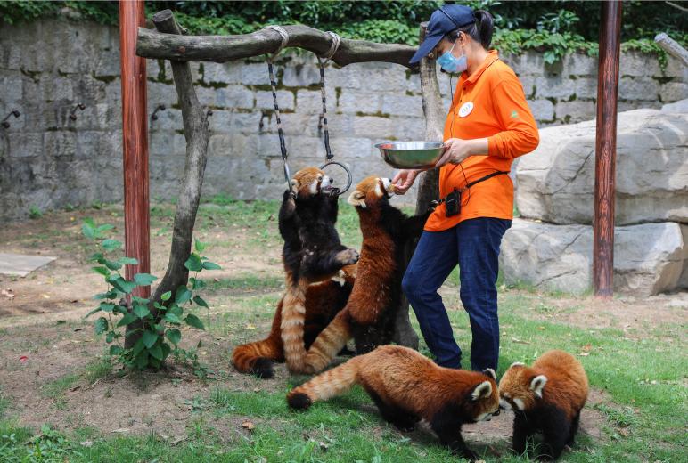 上海十大旅游景点直播,上海旅游景区实时直播
