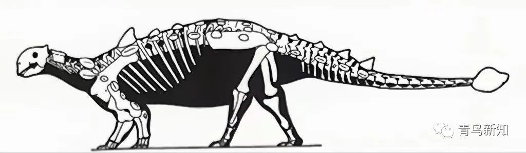 恐龙主题的铠甲可穿戴,恐龙战士怎么变身