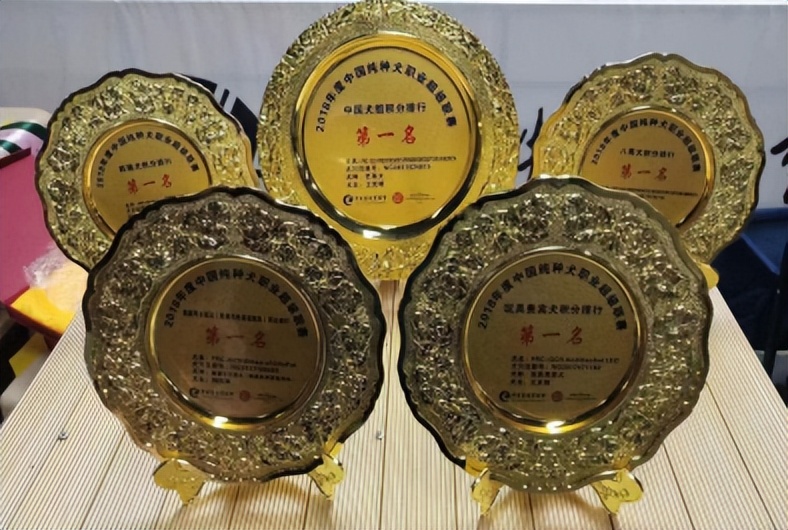 小野宠爱训犬师,小野宠爱宠物培训