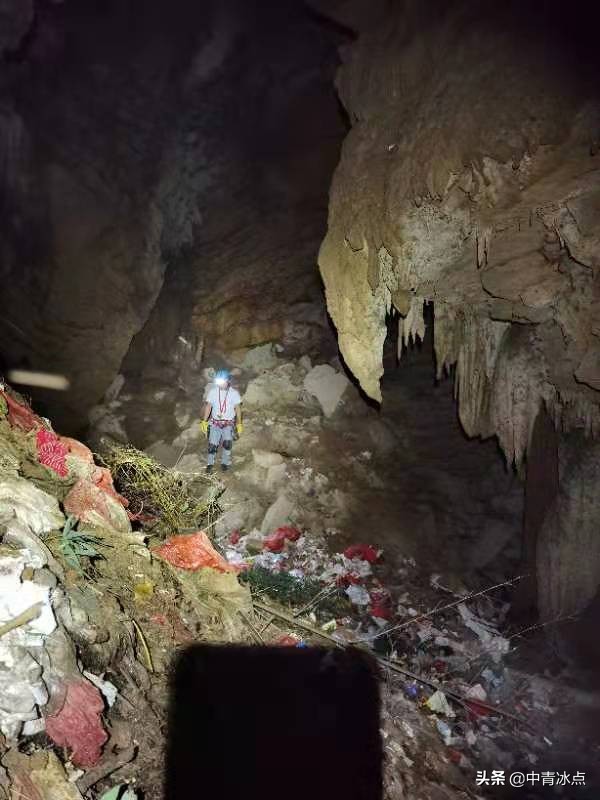 “救人都没这么大动静”，云南曲靖小狗掉入深洞数年后被救，救援队往返3000公里，下洞12次，引数亿网友围观