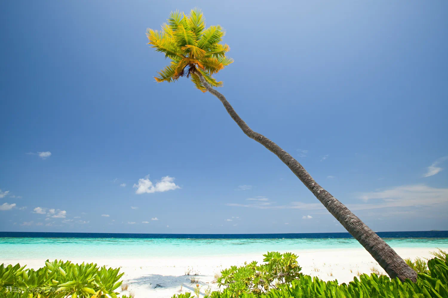 做好哪些攻略才能去马尔代夫,第一次去马尔代夫选哪个岛屿好