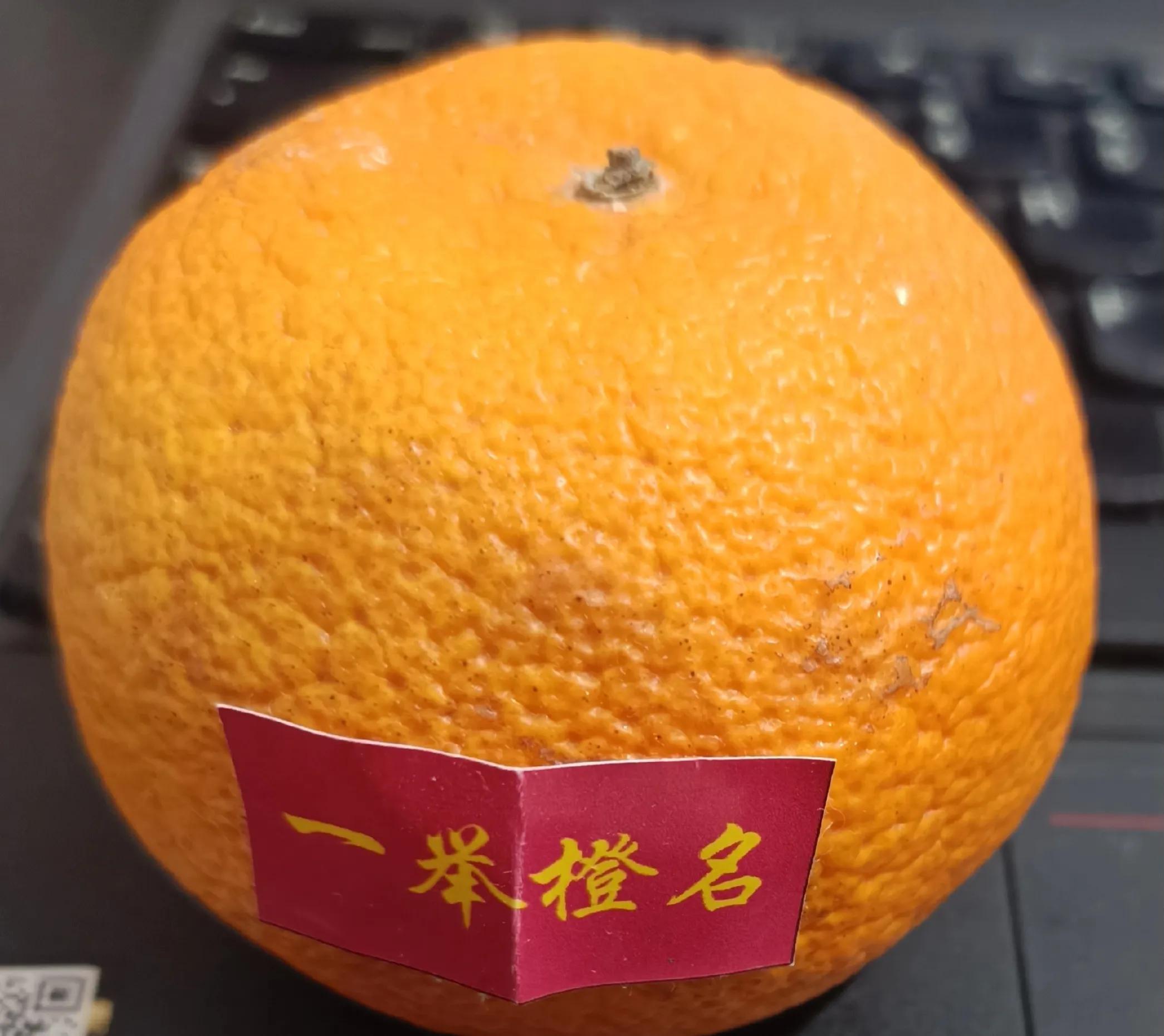 2023济南中考总结,2023年济南市中考排名