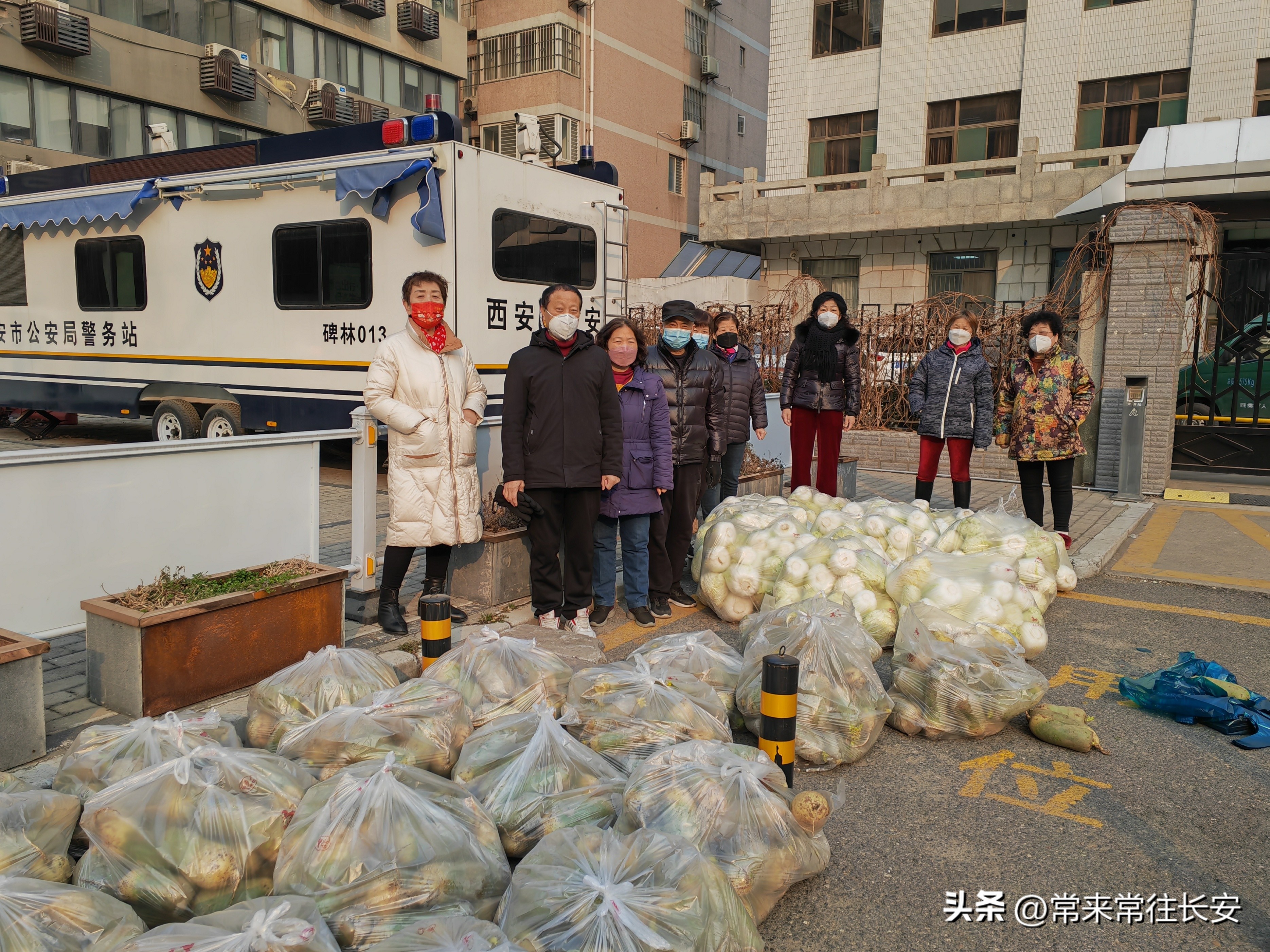 南院门蒲公英志愿者相互关守“白菜萝卜表示我一点心意”西安之声