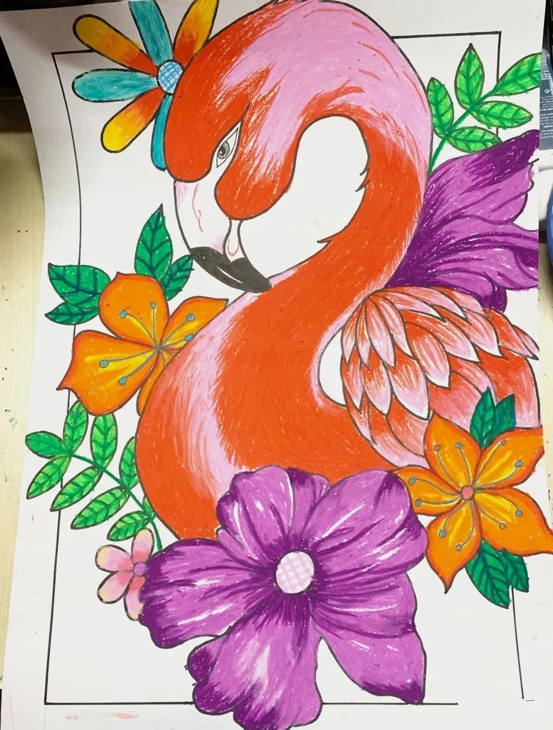 可爱的动物们图片,可爱的动物们电影