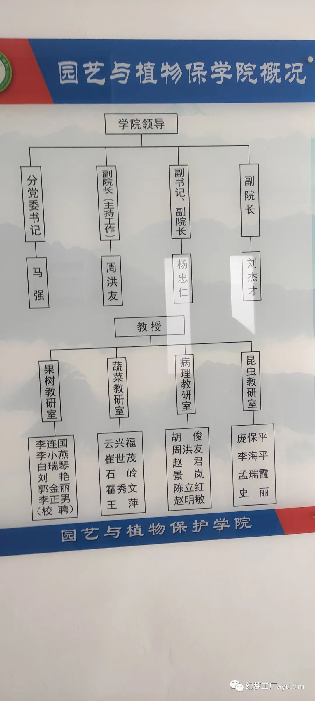 你好母校作文800字,你好母校作文