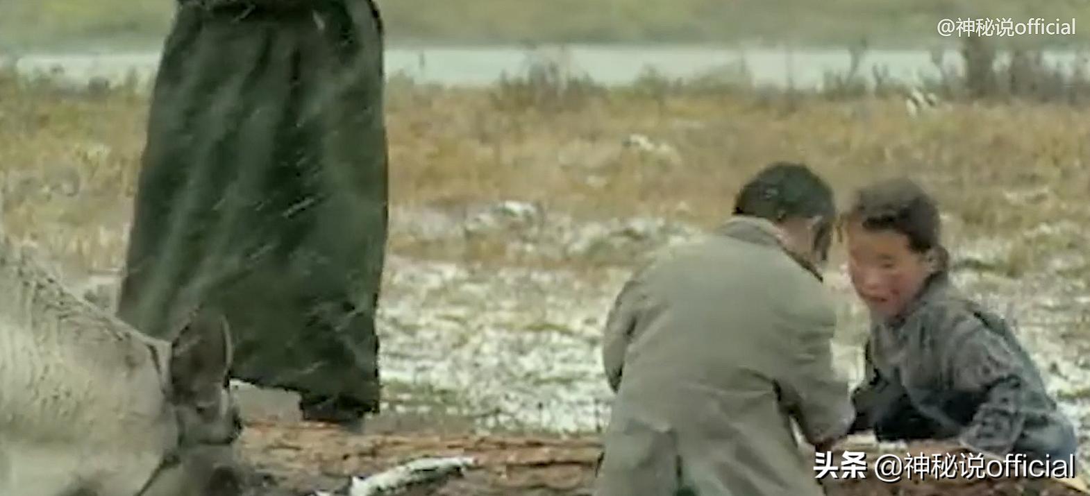 护林员发现野生大熊猫幼崽,山中野人被村民成功抓住