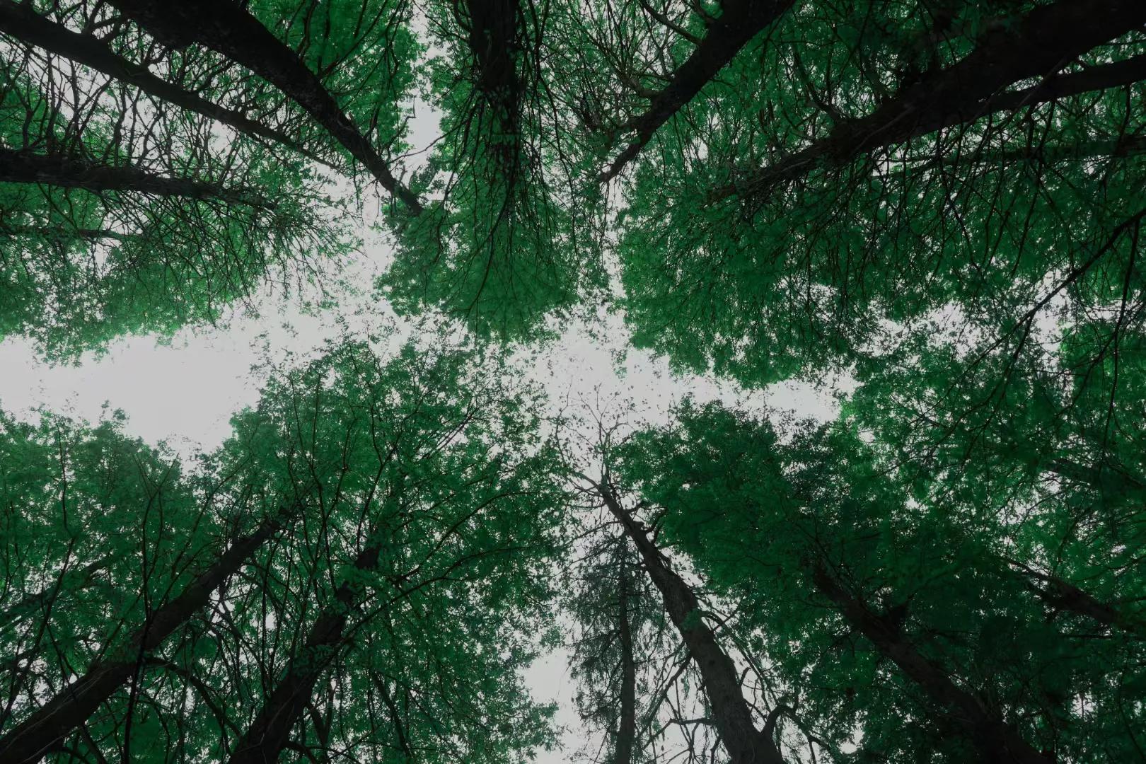 沉浸体验欧尚x5,最美的期待欧尚x5