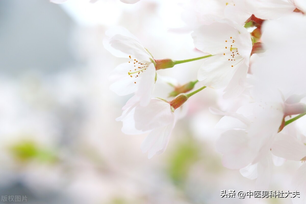 软男性格如何改变,软男的表现