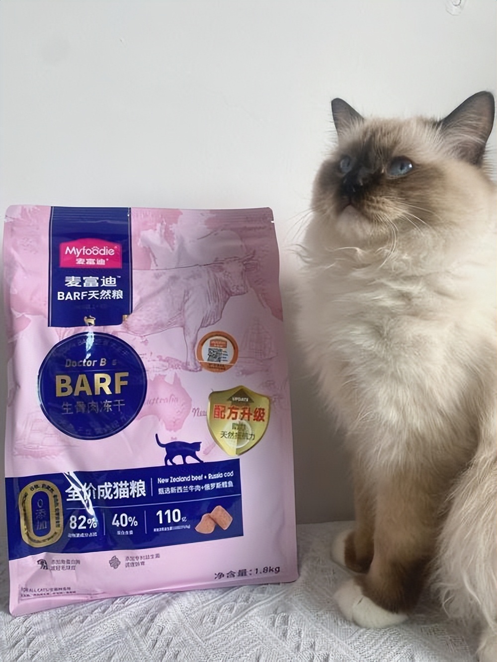 猫咪突然攻击人怎么处理,怎么训练猫咪不咬人不抓人