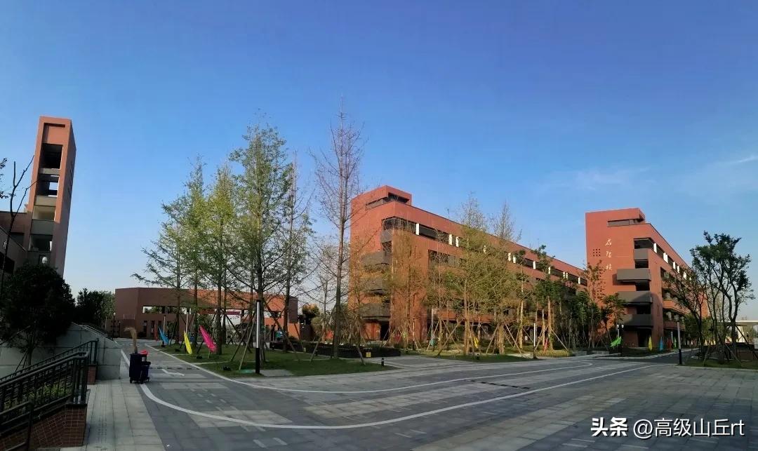 电子科技大学实验中学招生人数,电子科技大学实验中学怎么样