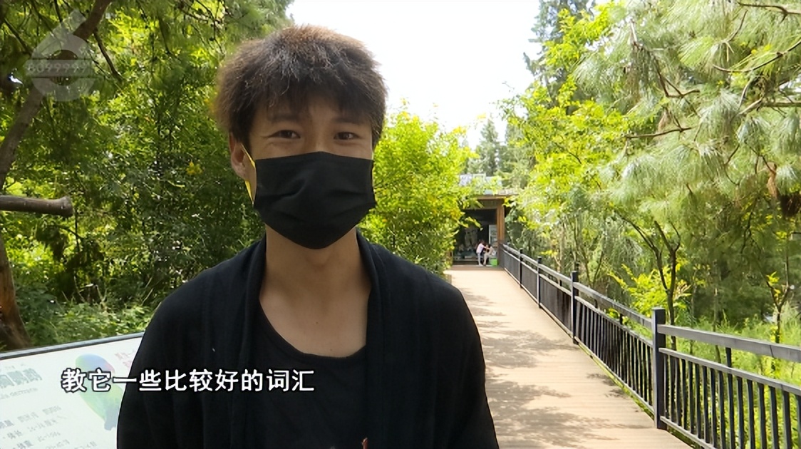 动物园鹦鹉飙脏话保育员引导,云南野生动物园内鹦鹉飙脏话