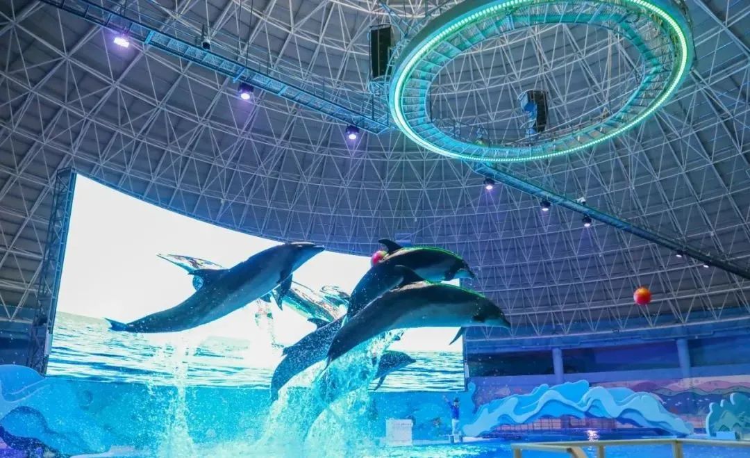 徐州春游野餐的好地方推荐,徐州最新春游推荐