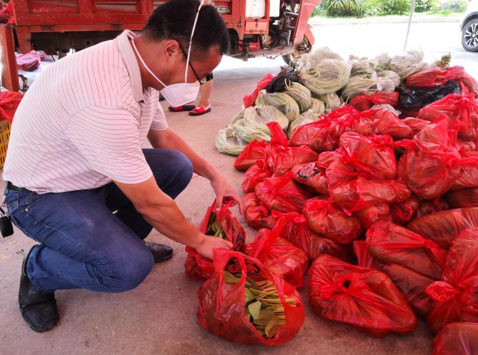 防疫生产两不误稳住百姓菜篮子,防疫生产两不误辽宁企业抓紧生产
