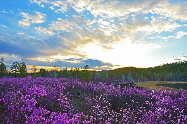 关于春风的诗100首,现代原创春天的诗