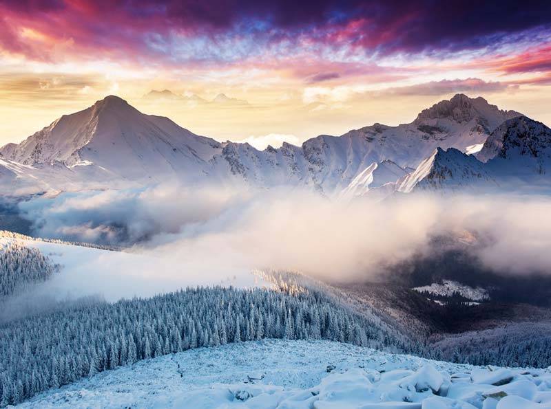 2023年安徽高考语文作文范文,2023高考作文范文欣赏安徽省