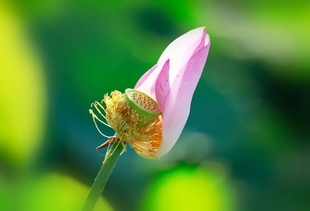 70-2002.8镜头尺寸,70-2002.8长焦镜头