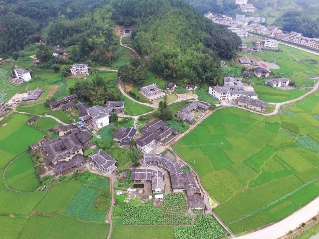 泉州到哈尔滨冰雕攻略,泉州德化冰墩墩