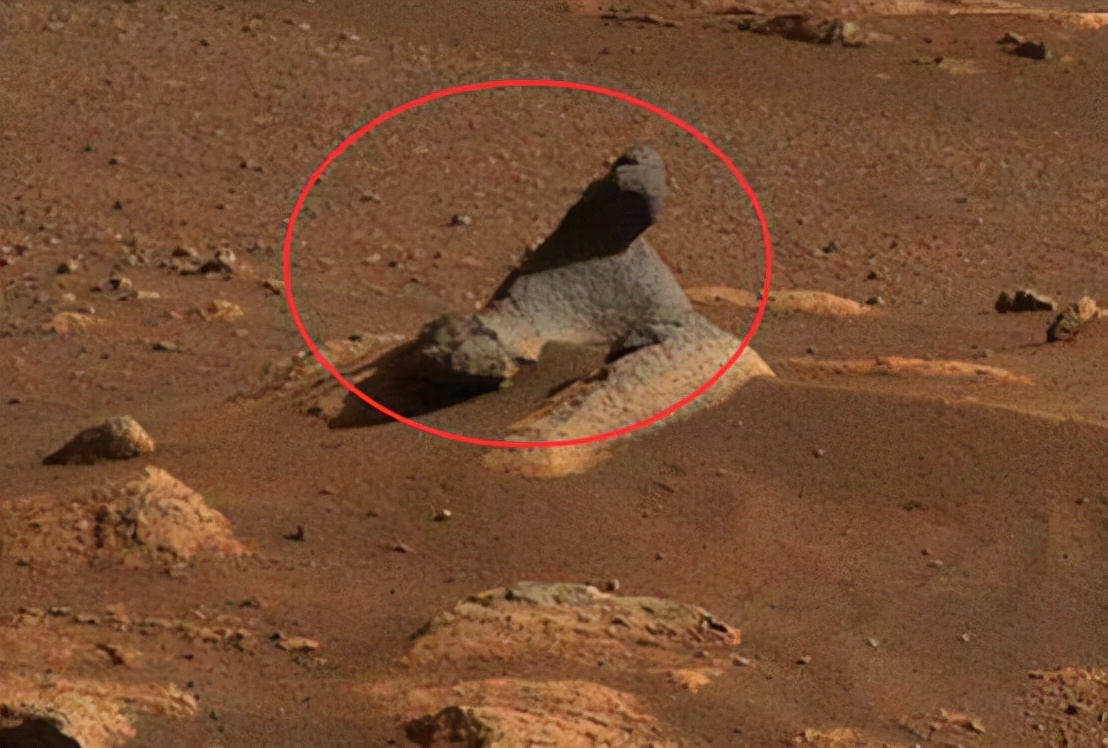 玉兔二号在月球拍到的神秘小屋,玉兔二号在月球里发现的神秘小屋