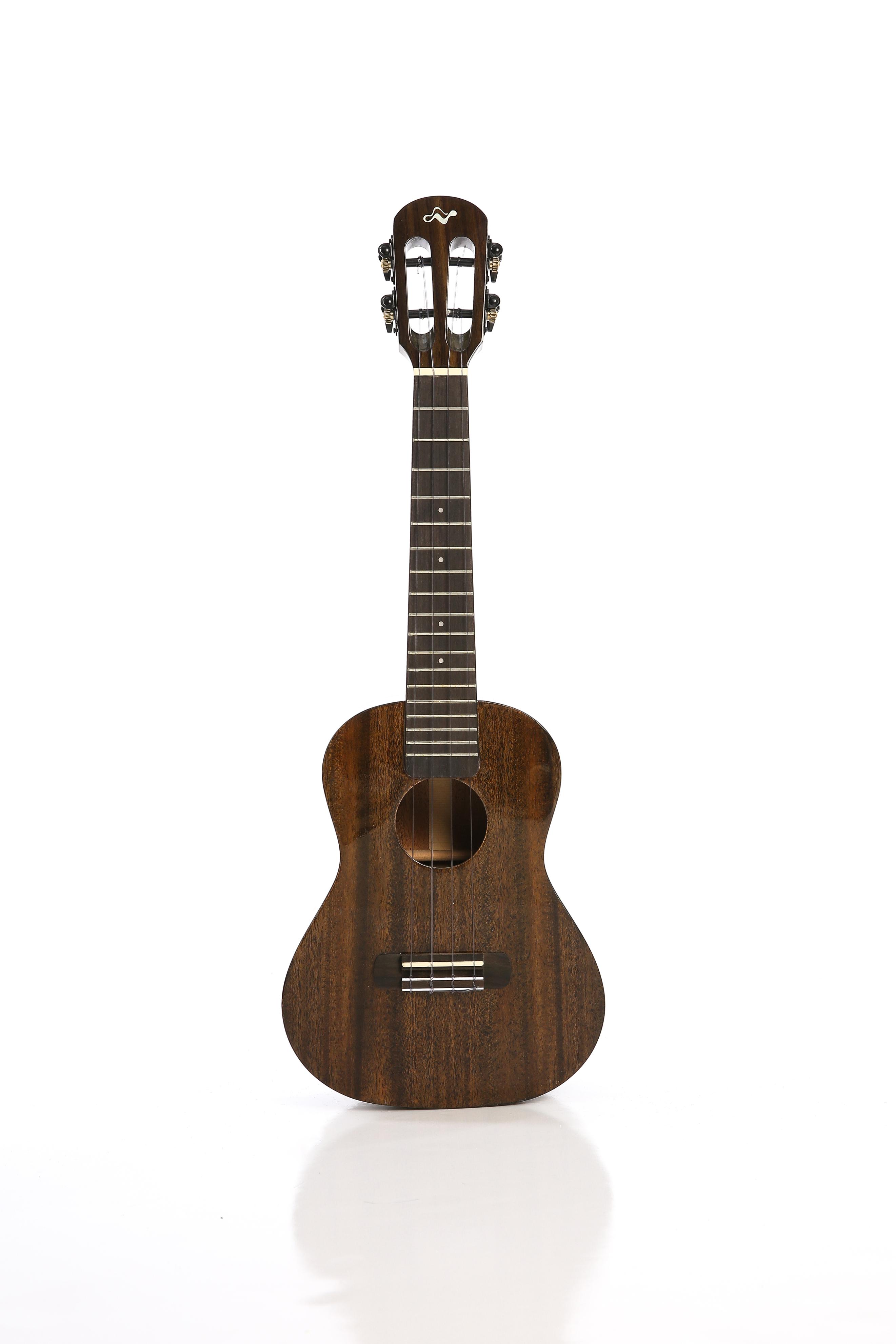 生于自然、天生敢为，TOM陪你做音乐窝玩创最WOW的学员