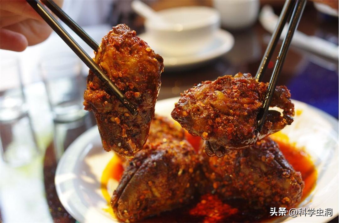 澳洲的野兔泛滥成灾的主要原因,澳洲野兔泛滥的时候究竟有多可怕