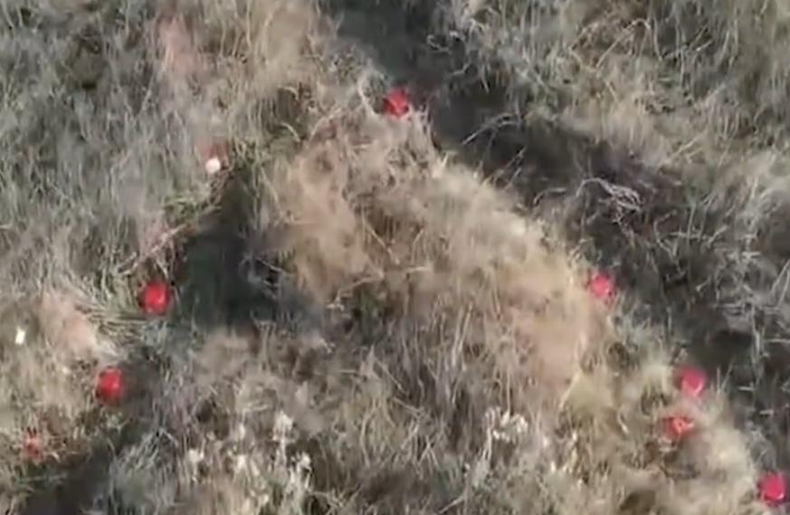 安徽大叔发明灭火器,发明灭火器灭火神器