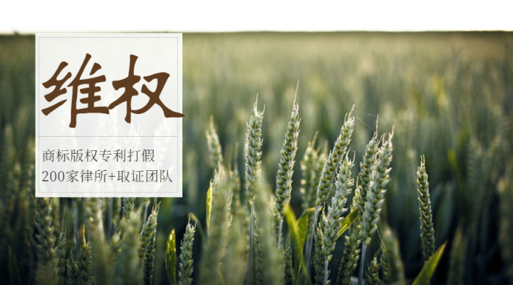 品牌侵权被投诉到工商局,品牌侵权被起诉有授权怎么处理