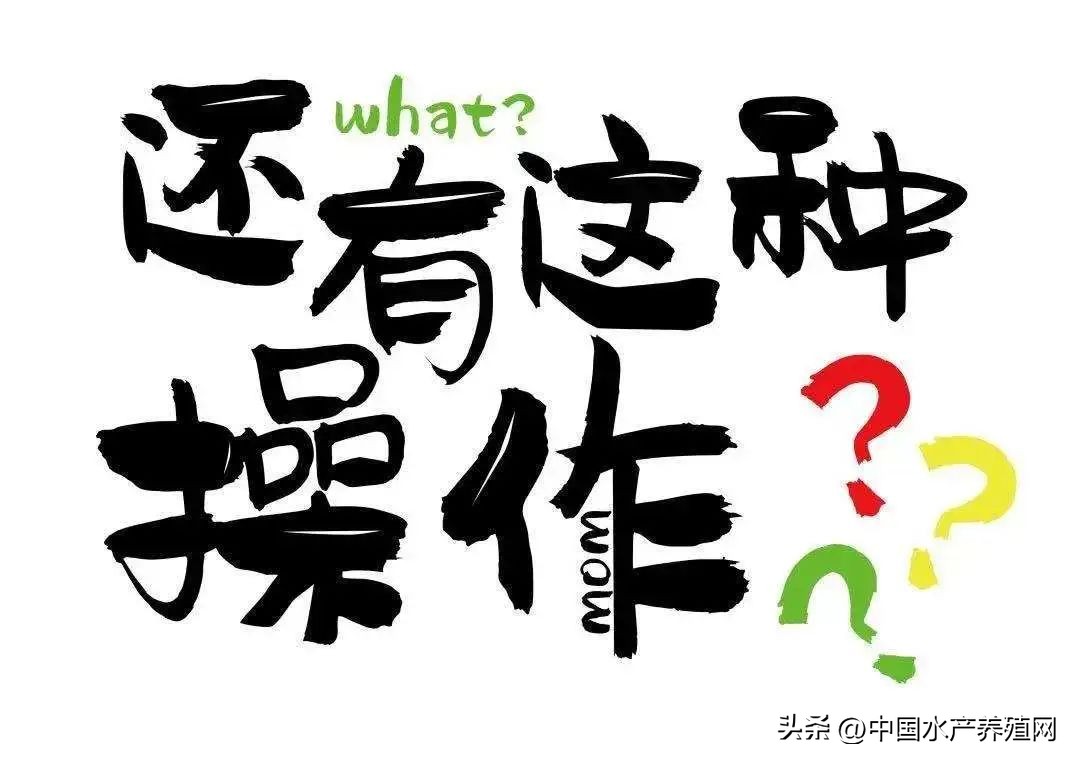 馅饼还是陷阱？知名品牌渔药半价就能买到？打款却收不到货？