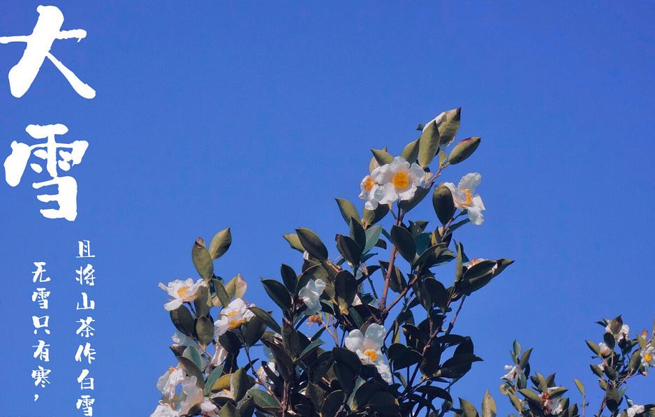 养骨先补什么最好,进入冬日一份养骨秘籍请收好