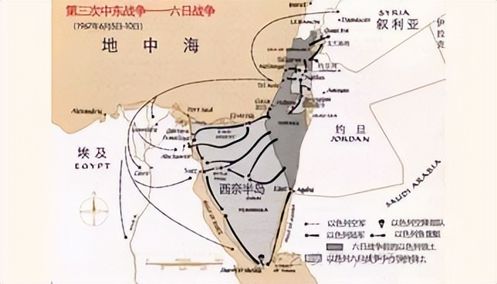 这座岛,这座岛究竟有何神奇之处