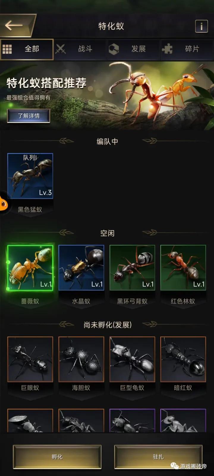 小小蚁国攻略教学视频,小小蚁国手游国际版怎么进入