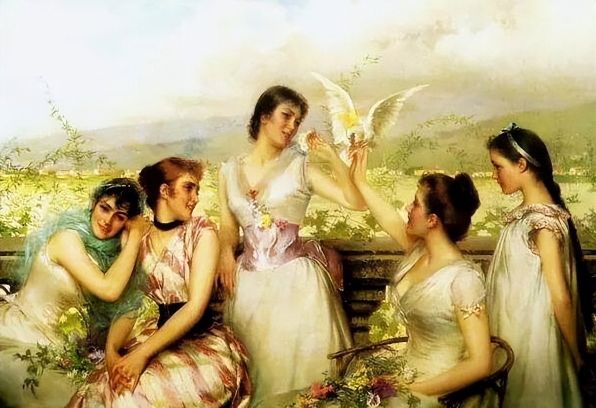 超级漂亮的玳瑁,最可爱的玳瑁