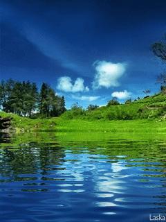 好看山水花鸟图,最漂亮的大自然山水花鸟图片大全