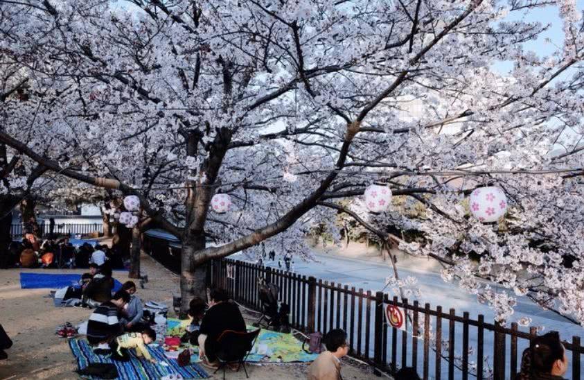 坐游轮去日本福冈,日本福冈游轮行