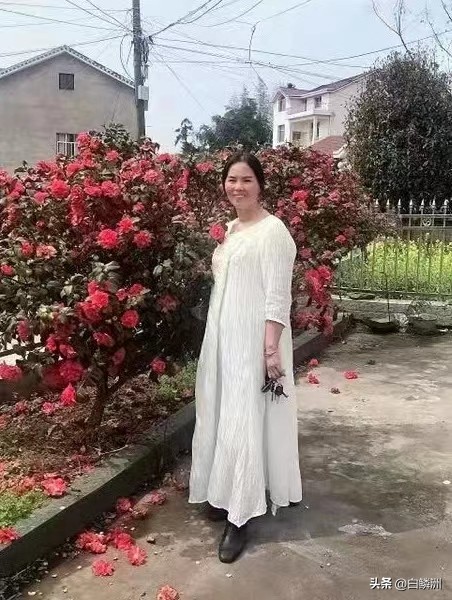 朋友圈||招小波/刺玫瑰