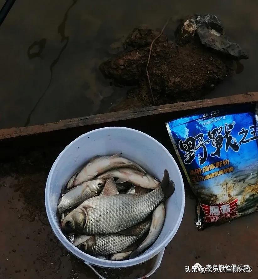 冬钓小野河，*战野**之王·腥香一包搞定