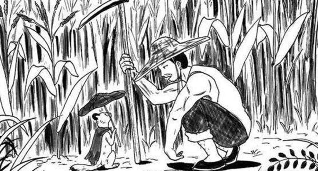 黄鼠狼成精向人讨封被骂,黄鼠狼讨封成精后怎么处理