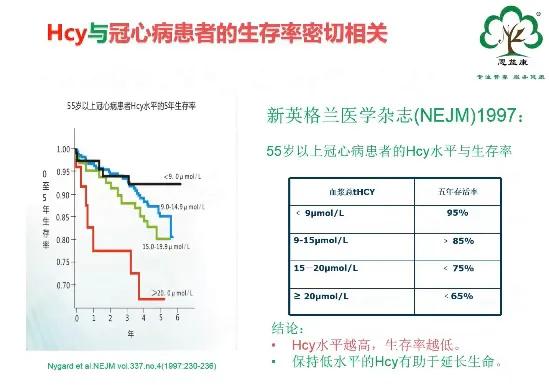 高同型半胱氨酸血症hcy正常值 (同型半胱氨酸hcy检测是什么)