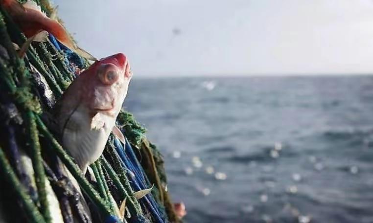 世界第一港口现状,昔日世界第一渔场