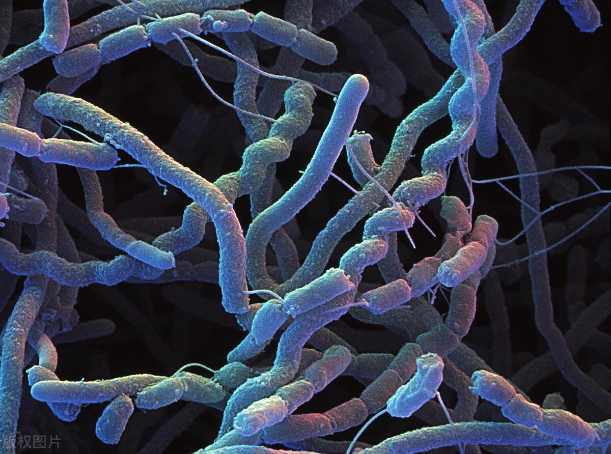 女性隐私部瘙痒什么原因,女性生理部位瘙痒要注意什么