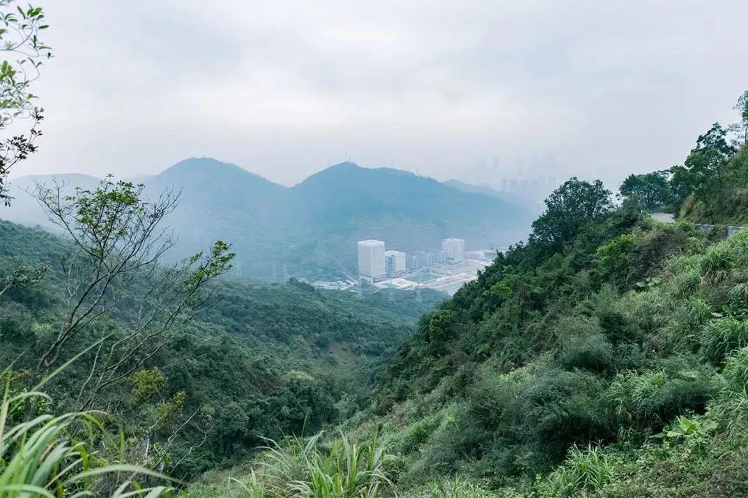 深圳最值得爬的景点,深圳十大最值得爬的山