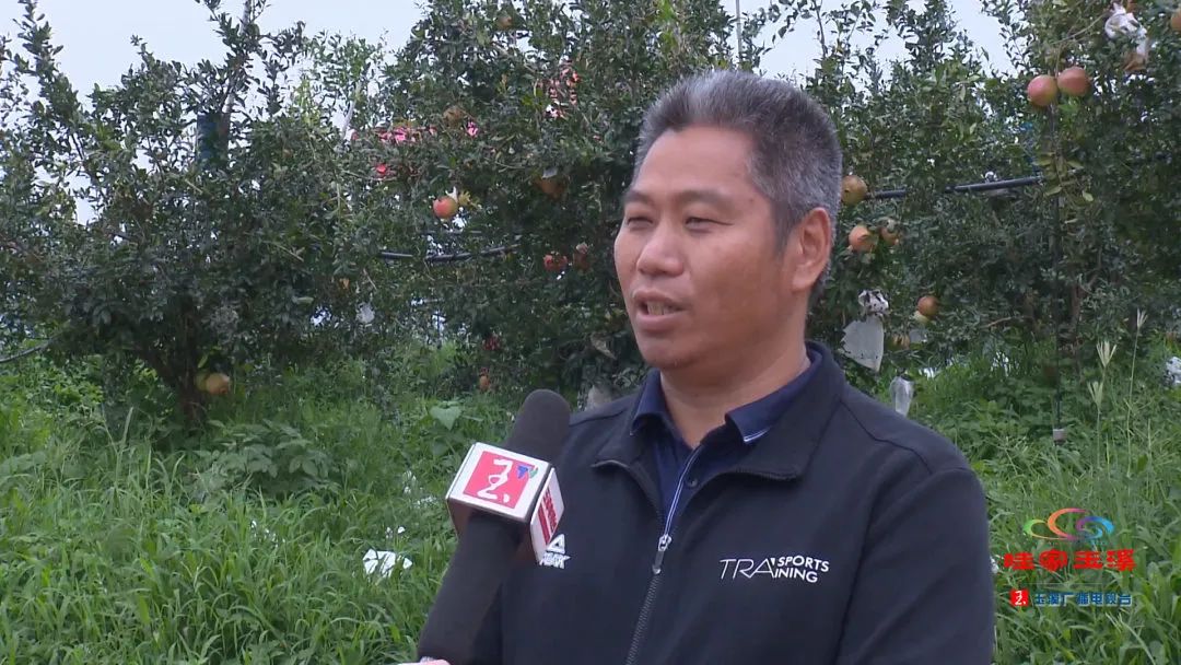 一线调研看发展,一线走访调研