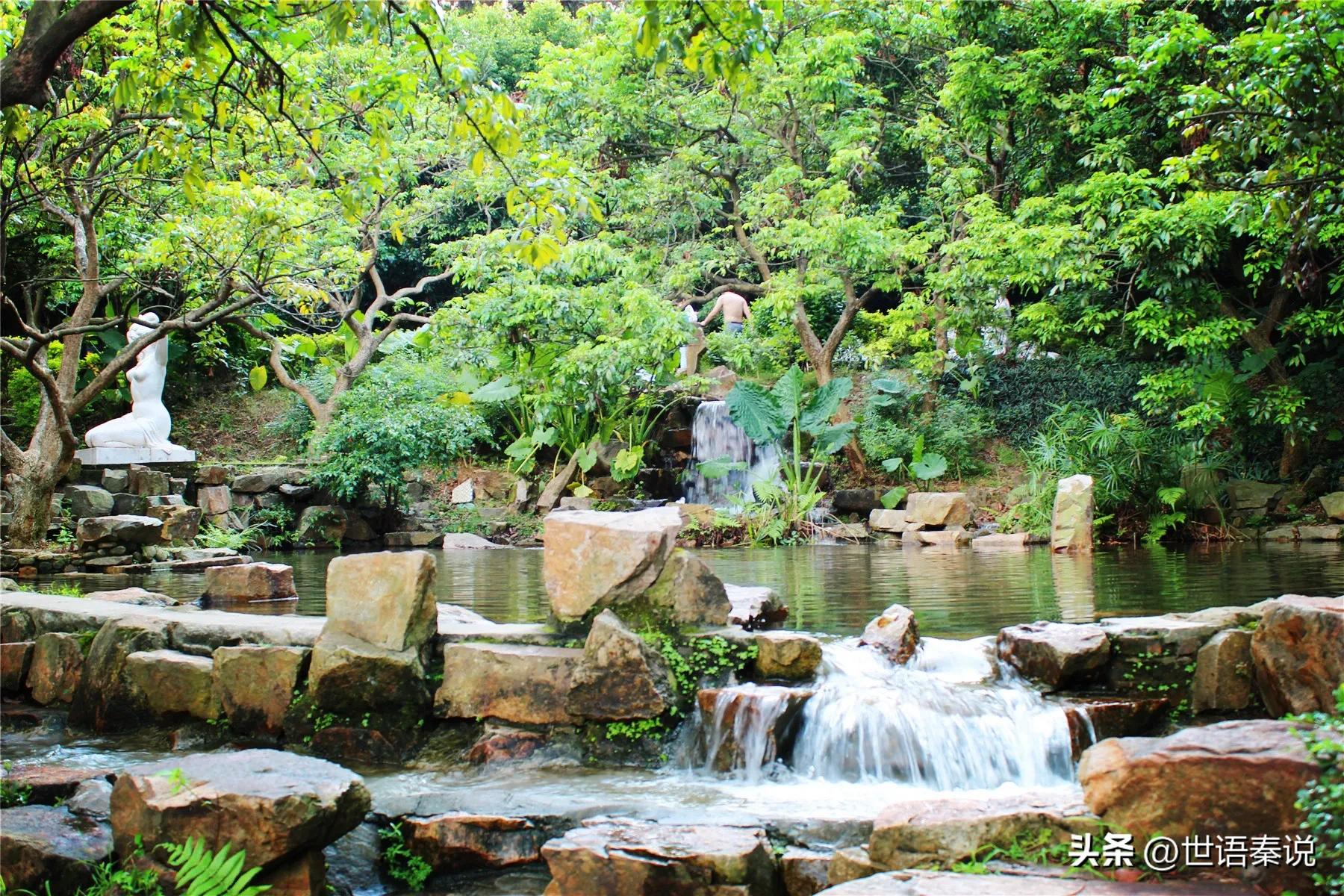 雨中漫步在公园里,独自漫步在郊野公园